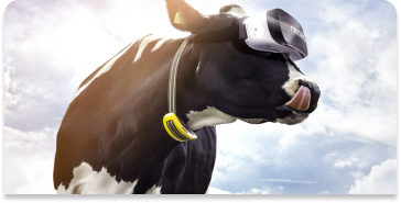 Innovation in Livestock Technology